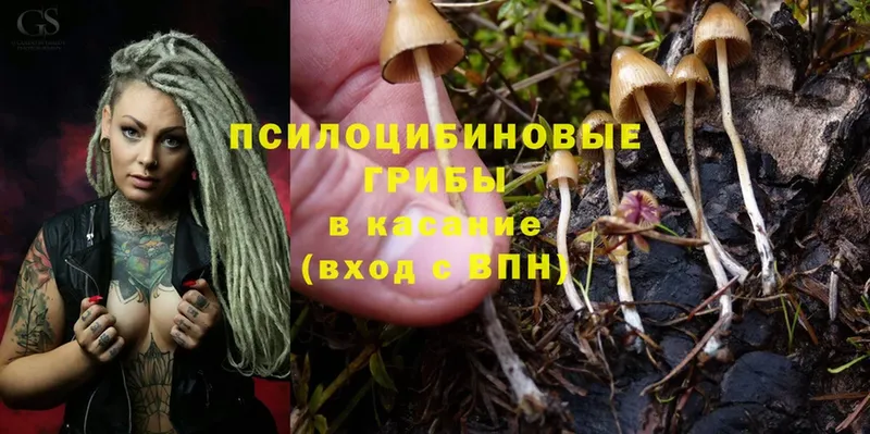 Галлюциногенные грибы Magic Shrooms  Боровичи 