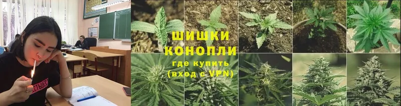 где купить наркотик  ссылка на мегу зеркало  Бошки марихуана White Widow  Боровичи 